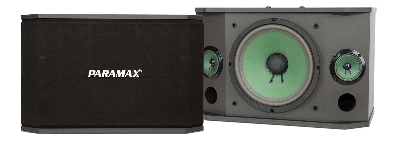 loa karaoke chuyên nghiệp